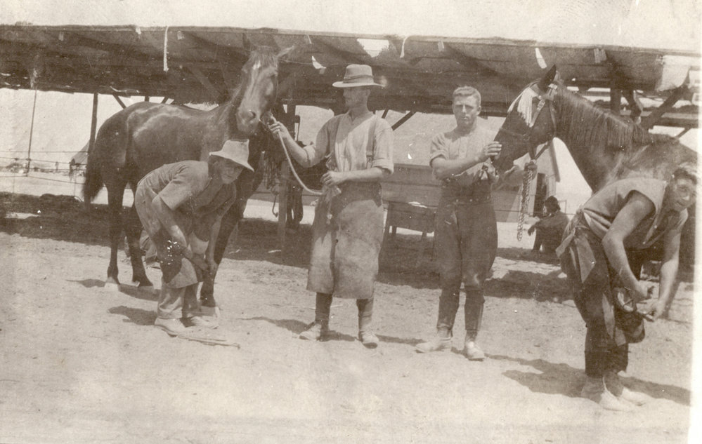 Photo from page 20 of album WWI Photograph Albums- Egypt and Palestine.