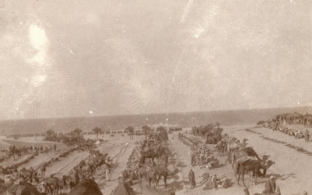 Photo from page 24 of album WWI Photograph Albums- Egypt and Palestine.
