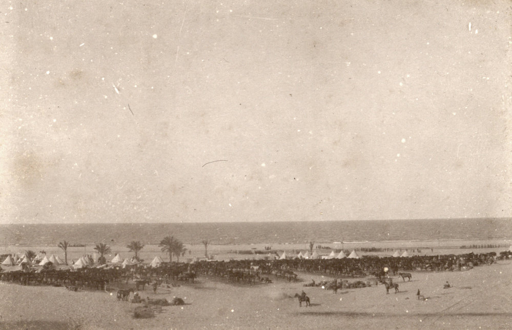 Photo from page 24 of album WWI Photograph Albums- Egypt and Palestine.