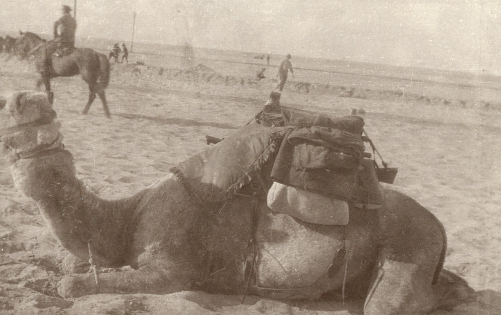 Photo from page 26 of album WWI Photograph Albums- Egypt and Palestine.