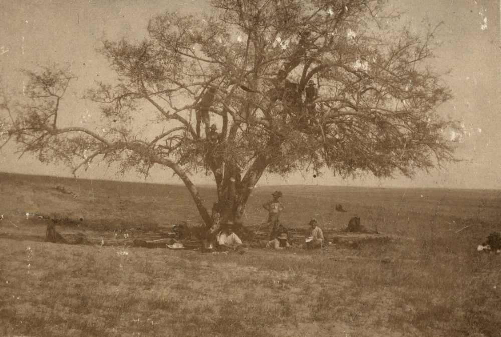 Photo from page 03 of album WWI Photograph Album- Middle East