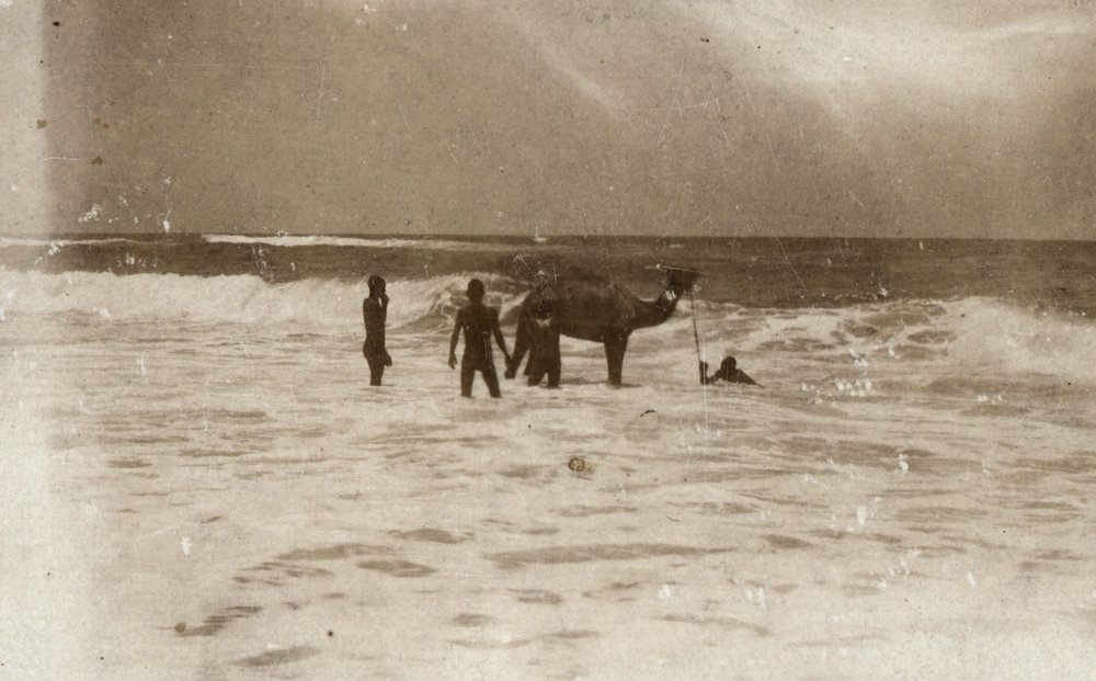 Photo from page 03 of album WWI Photograph Album- Middle East