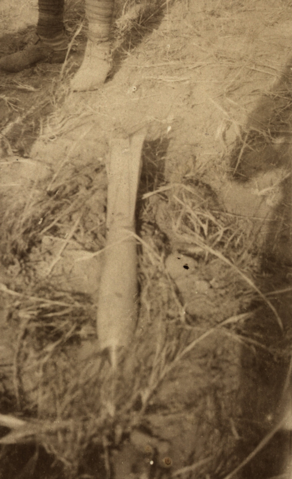 Photo from page 05 of album WWI Photograph Album- Middle East