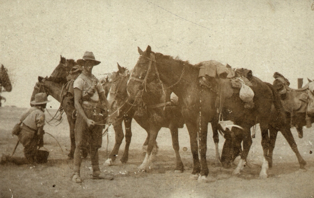 Photo from page 05 of album WWI Photograph Album- Middle East