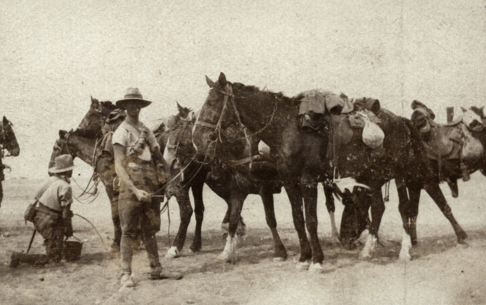 Photo from page 05 of album WWI Photograph Album- Middle East