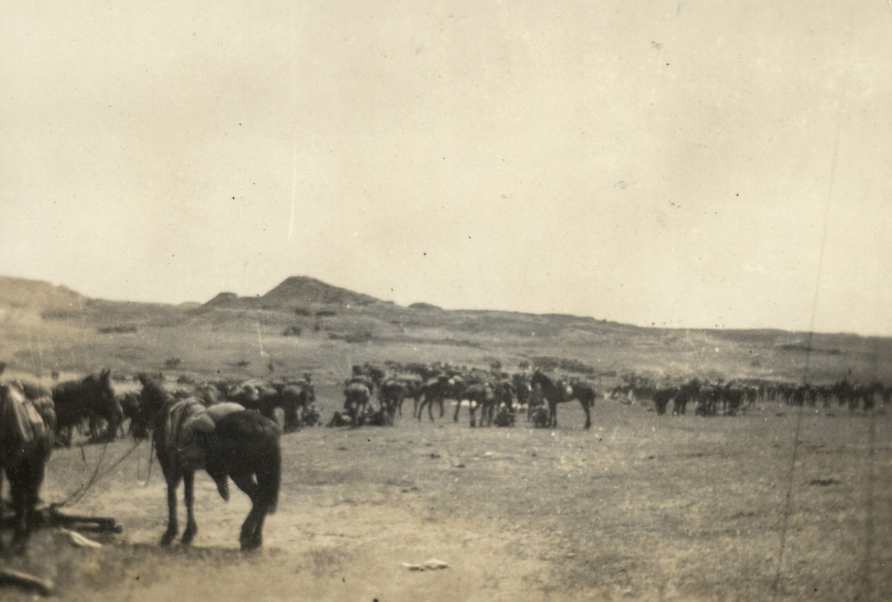 Photo from page 11 of album WWI Photograph Album- Middle East