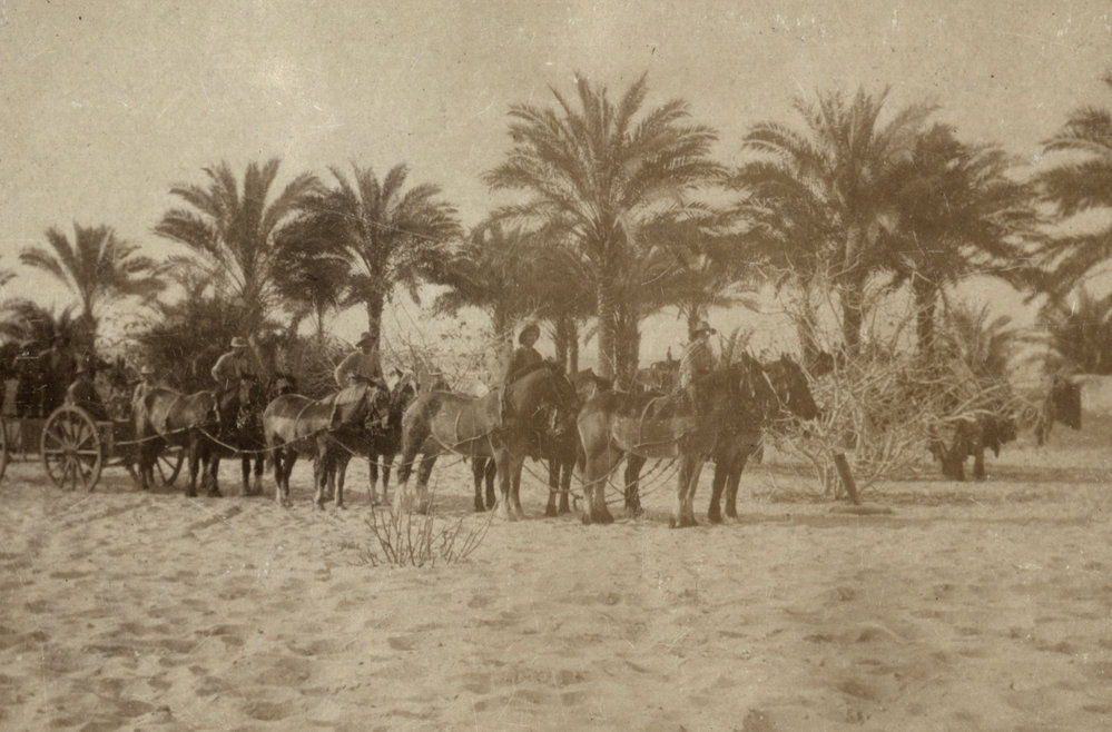Photo from page 11 of album WWI Photograph Album- Middle East