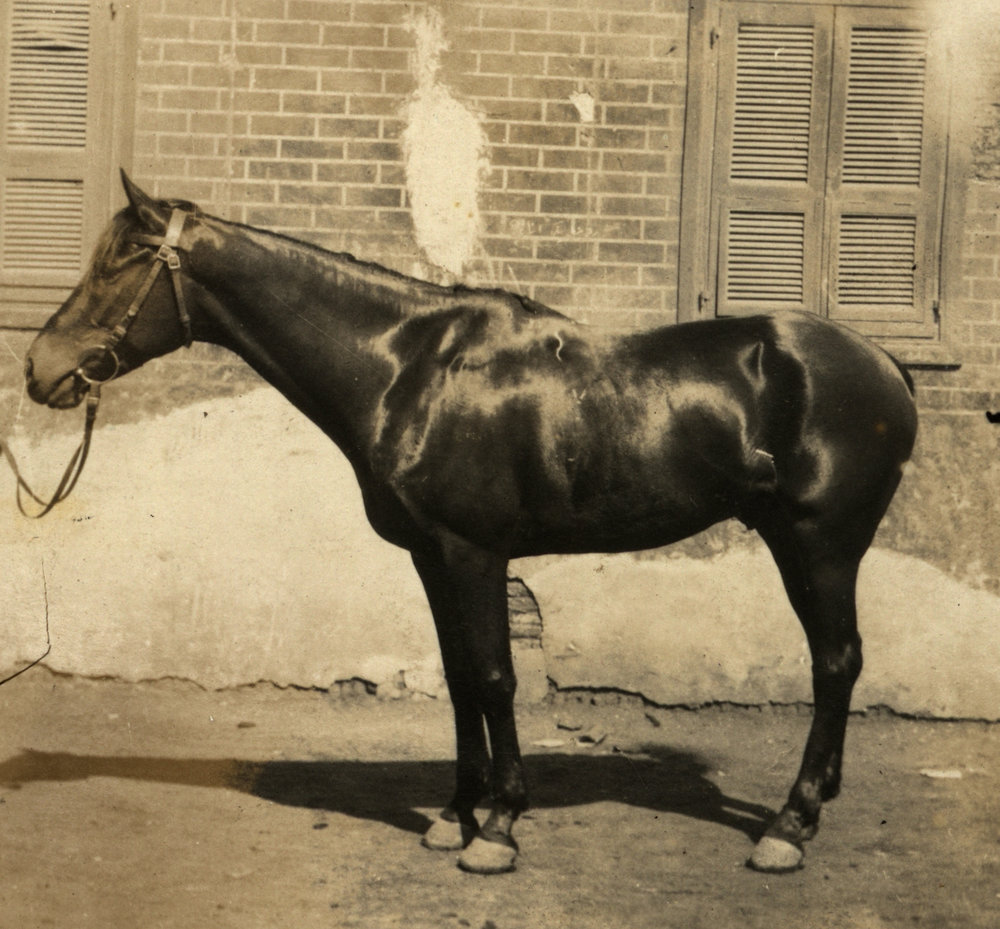 Photo from page 12 of album WWI Photograph Album- Middle East