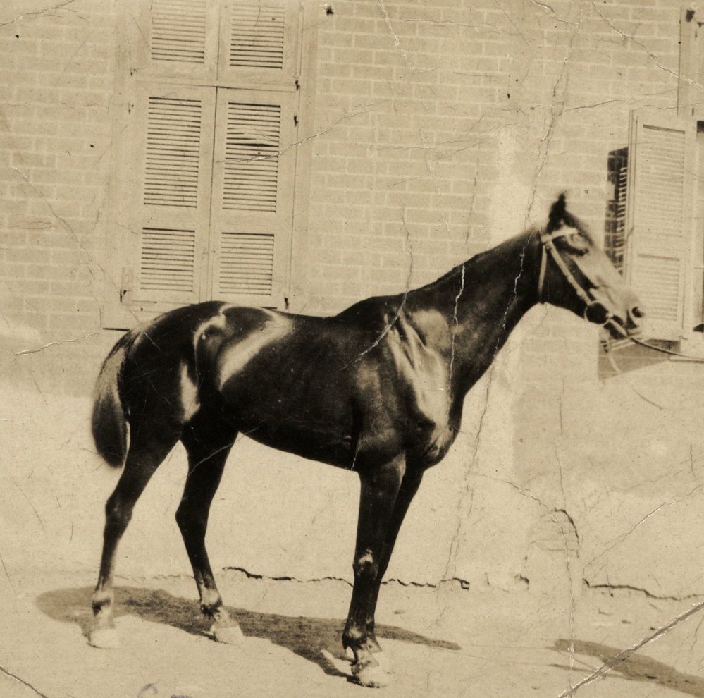 Photo from page 13 of album WWI Photograph Album- Middle East