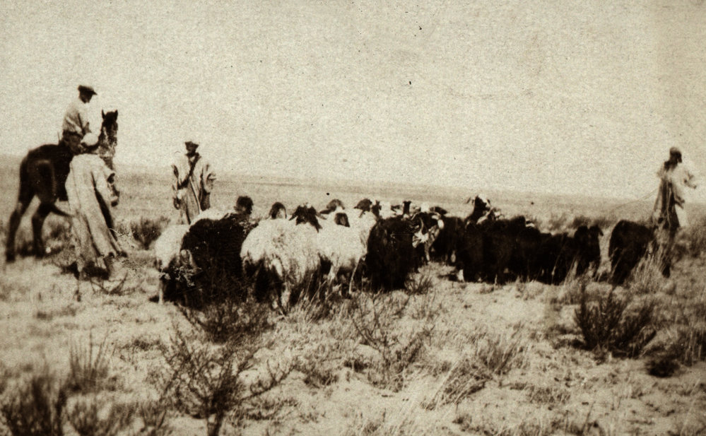 Photo from page 17 of album WWI Photograph Album- Middle East