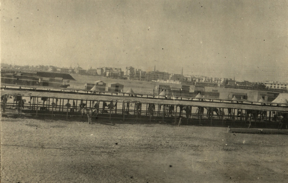 Photo from page 11 of album WWI Photograph Album- Egypt, England &amp; Western Front