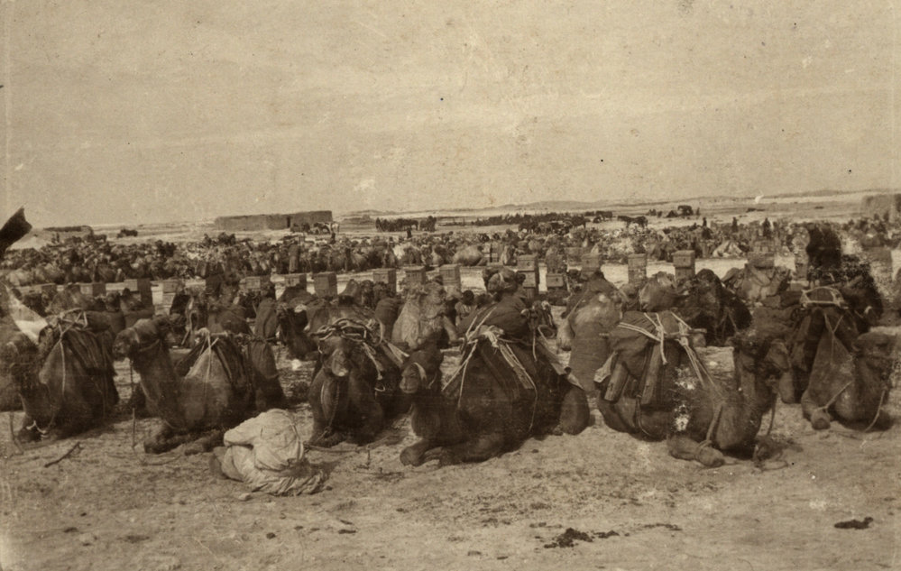 Photo from page 15 of album WWI Photograph Album- Egypt, England &amp; Western Front