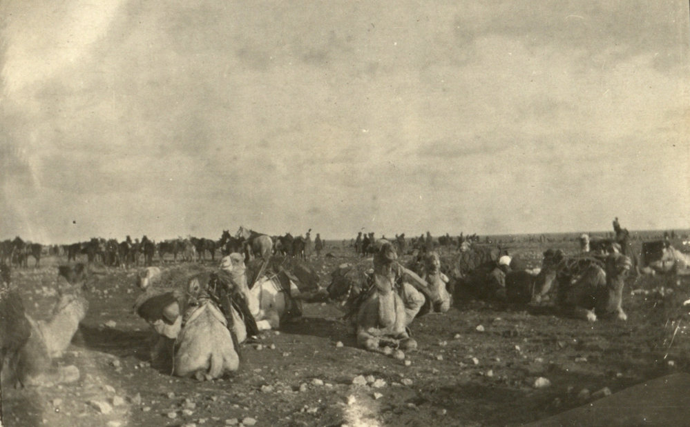 Photo from page 15 of album WWI Photograph Album- Egypt, England &amp; Western Front