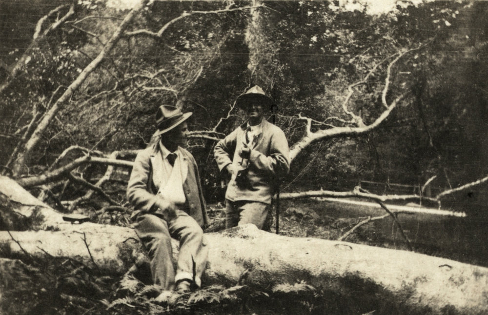 Photo from page 22 of album WWI Photograph Album- Egypt, England &amp; Western Front