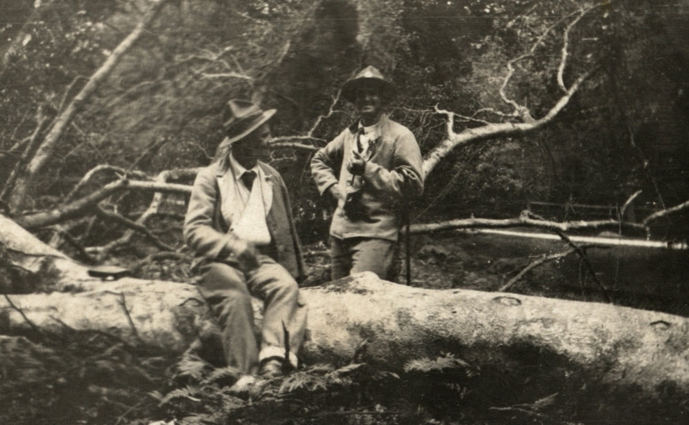 Photo from page 22 of album WWI Photograph Album- Egypt, England &amp; Western Front