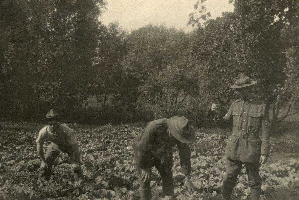 Photo from page 23 of album WWI Photograph Album- Egypt, England &amp; Western Front