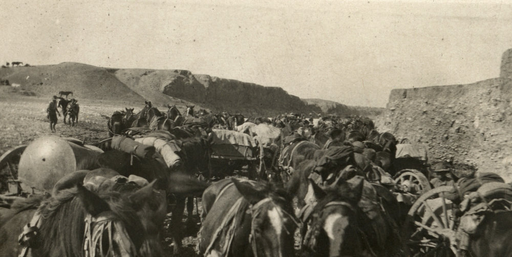 Photo from page 02 of album WWI Photograph Album- Egypt &amp; Palestine