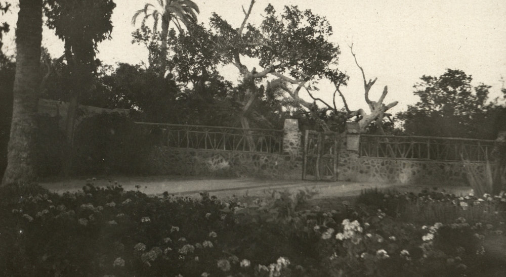 Photo from page 03 of album WWI Photograph Album- Egypt &amp; Palestine