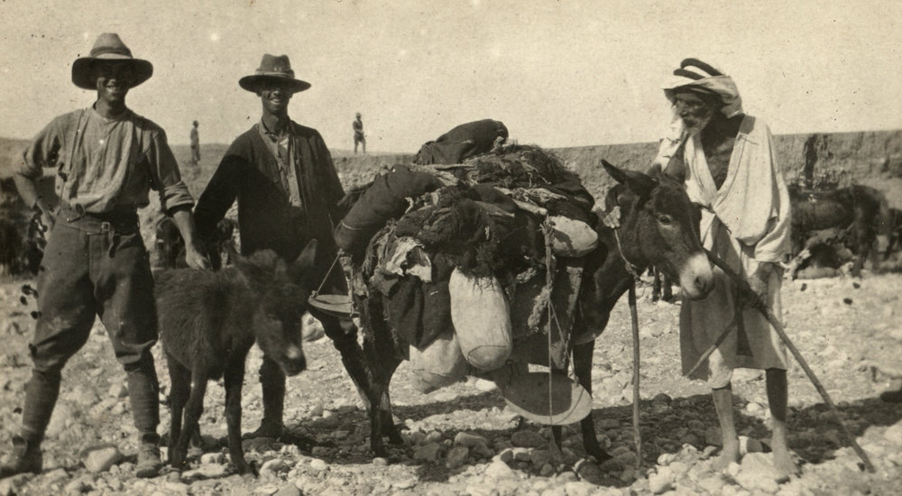 Photo from page 05 of album WWI Photograph Album- Egypt &amp; Palestine