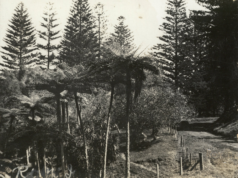 Photo from page 05 of album WWI Photograph Album- Egypt &amp; Palestine