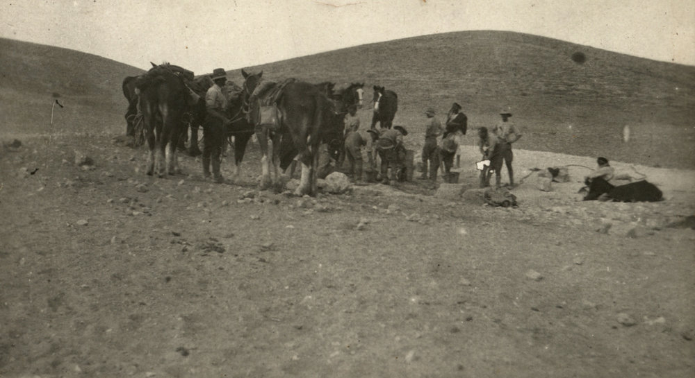 Photo from page 06 of album WWI Photograph Album- Egypt &amp; Palestine