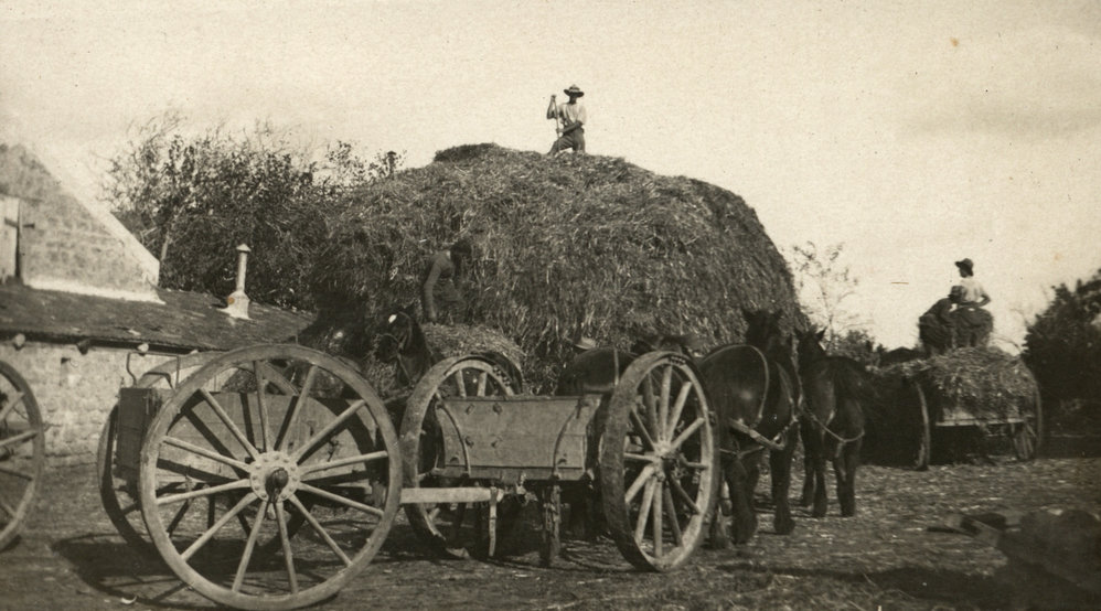 Photo from page 07 of album WWI Photograph Album- Egypt &amp; Palestine