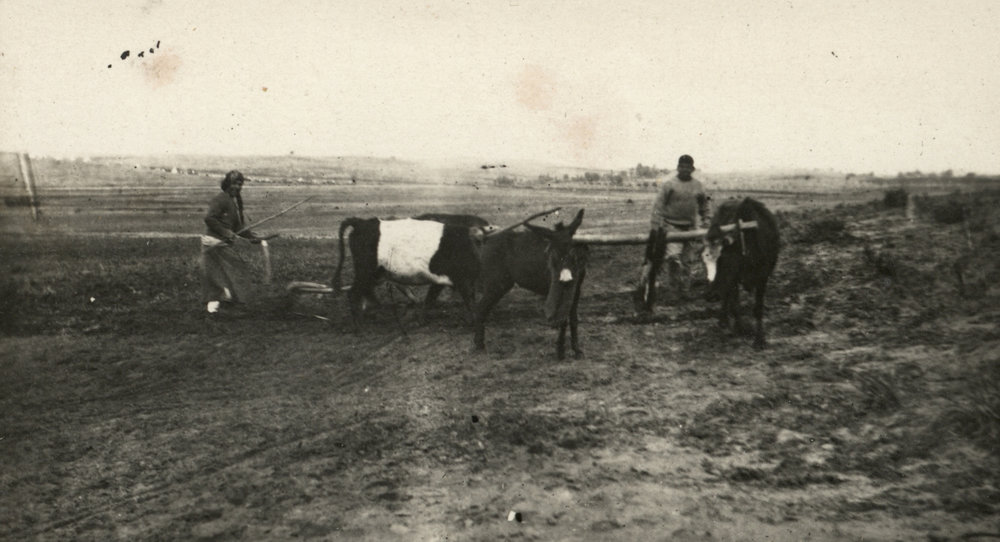 Photo from page 07 of album WWI Photograph Album- Egypt &amp; Palestine