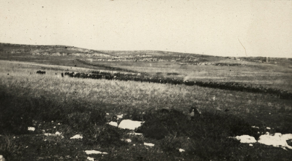 Photo from page 08 of album WWI Photograph Album- Egypt &amp; Palestine