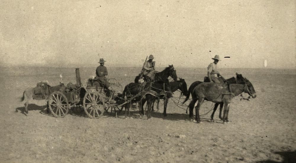 Photo from page 09 of album WWI Photograph Album- Egypt &amp; Palestine