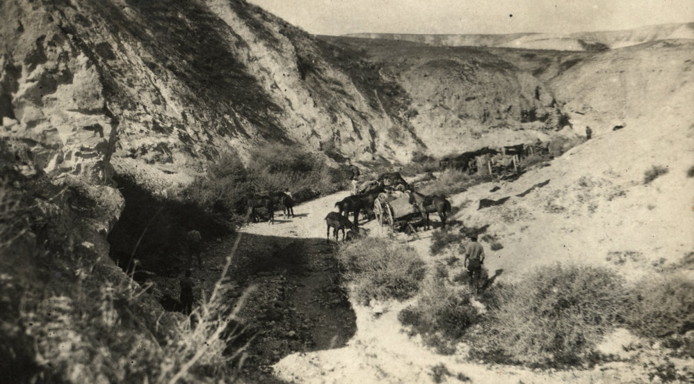 Photo from page 09 of album WWI Photograph Album- Egypt &amp; Palestine