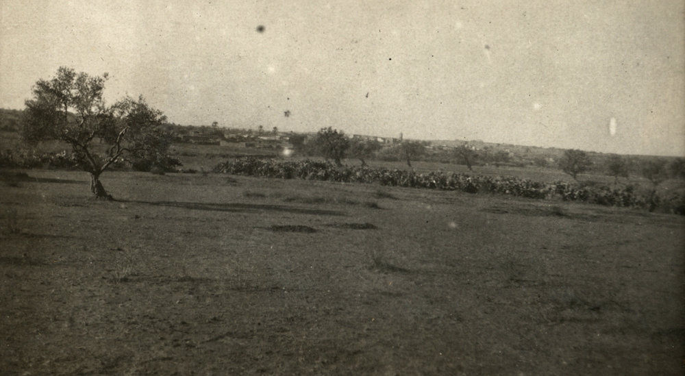 Photo from page 13 of album WWI Photograph Album- Egypt &amp; Palestine