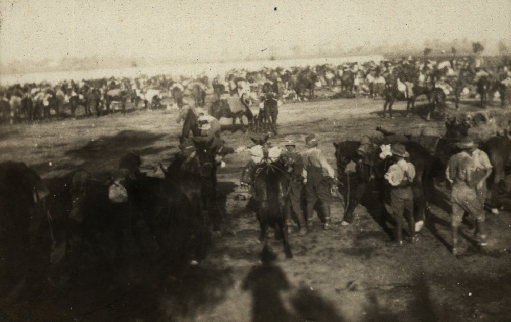 Photo from page 03 of album WWI Photograph Album- Middle East