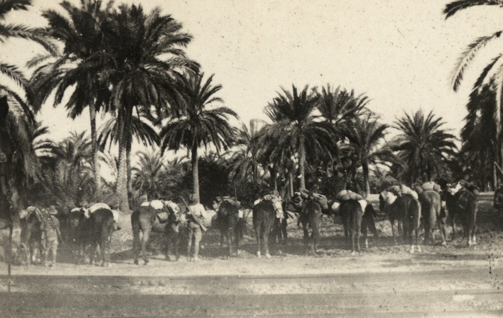 Photo from page 03 of album WWI Photograph Album- Middle East
