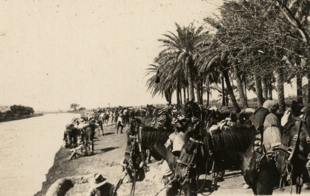 Photo from page 04 of album WWI Photograph Album- Middle East
