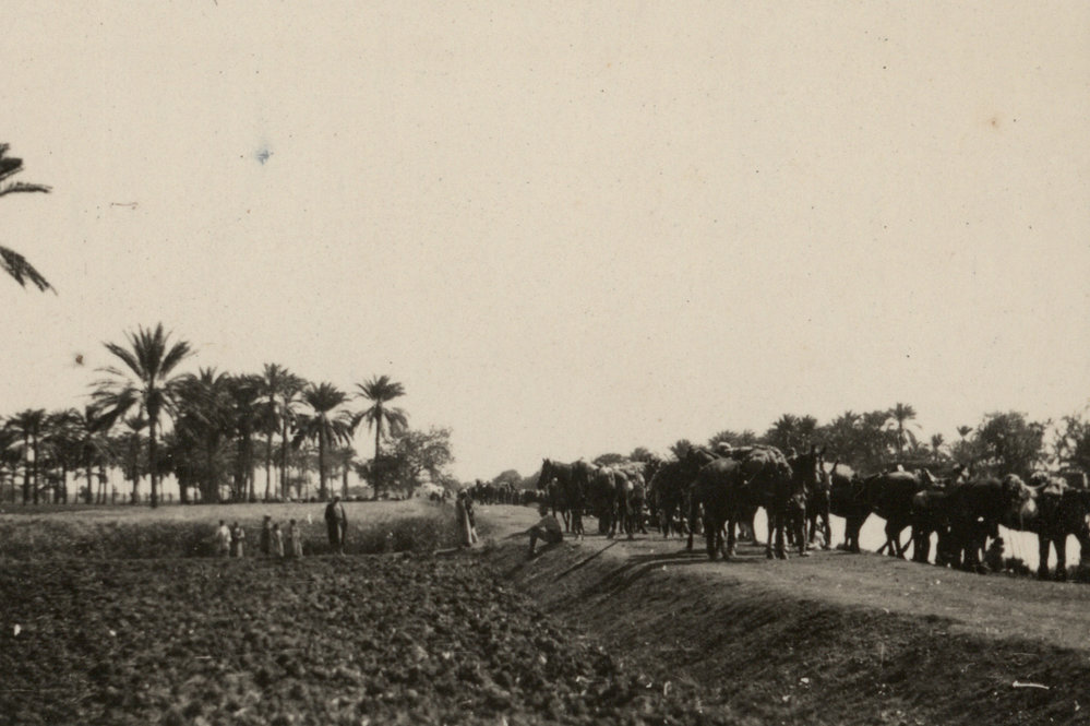 Photo from page 04 of album WWI Photograph Album- Middle East