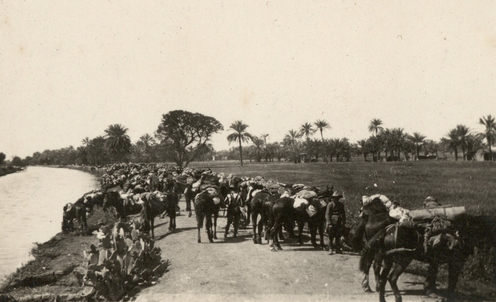 Photo from page 05 of album WWI Photograph Album- Middle East