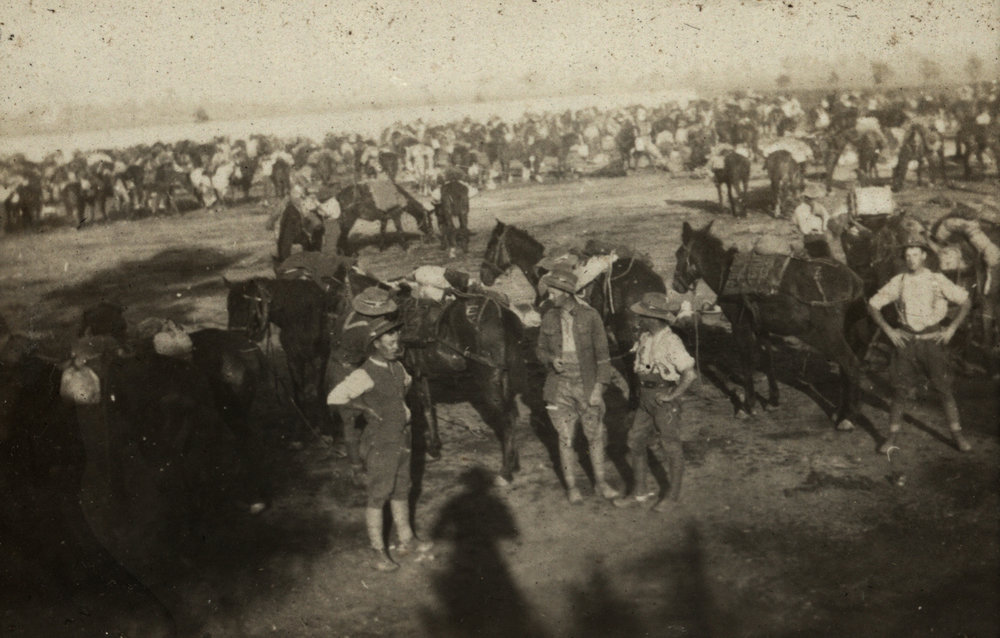Photo from page 11 of album WWI Photograph Album- Middle East