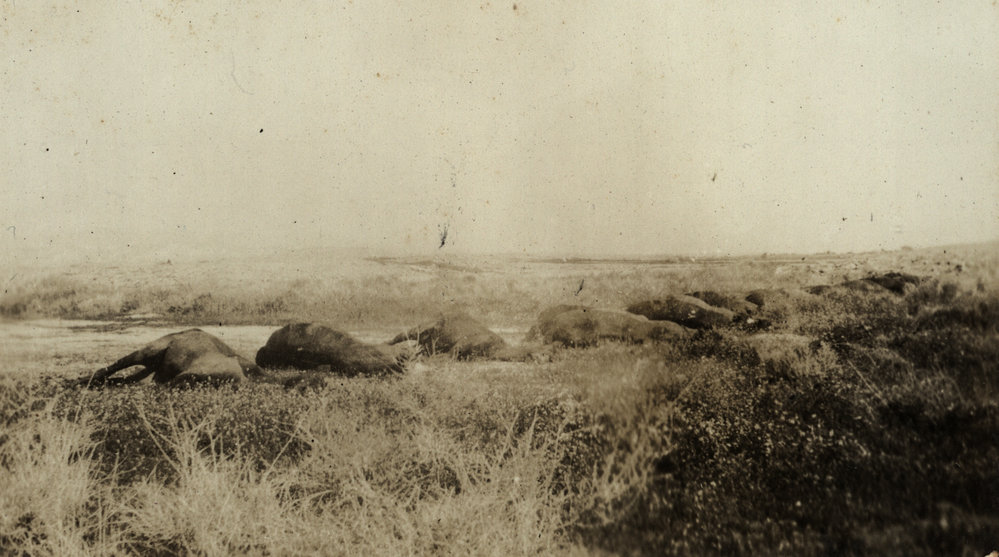 Photo from page 06 of album WWI Photograph Album- Middle East