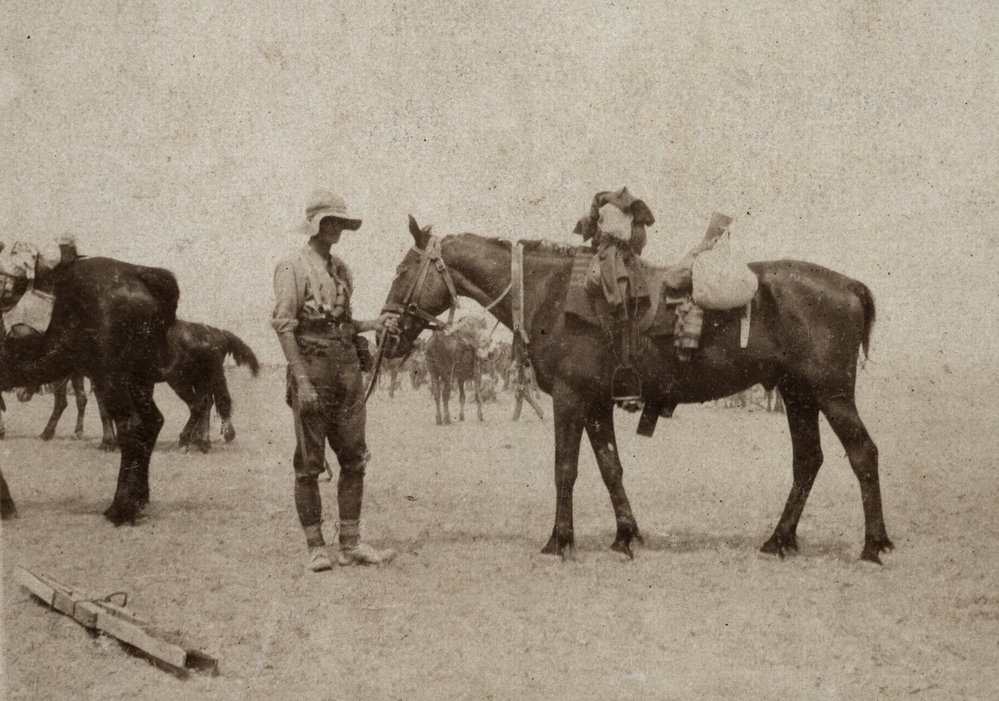 Photo from page 02 of album WWI Photograph Album- Egypt &amp; Sinai