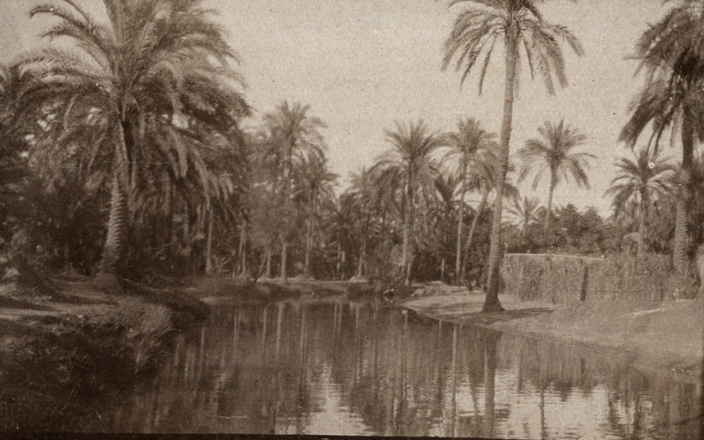 Photo from page 05 of album WWI Photograph Album- Egypt &amp; Sinai