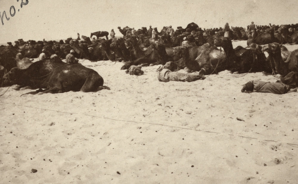 Photo from page 10 of album WWI Photograph Album- Egypt &amp; Sinai