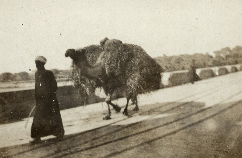 Photo from page 02 of album WWI Photograph Album- Egypt