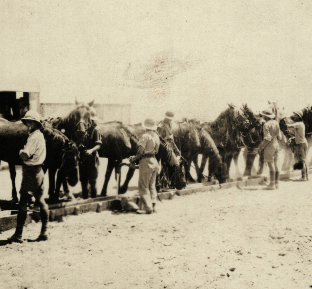 Photo from page 04 of album WWI Photograph Album- Egypt