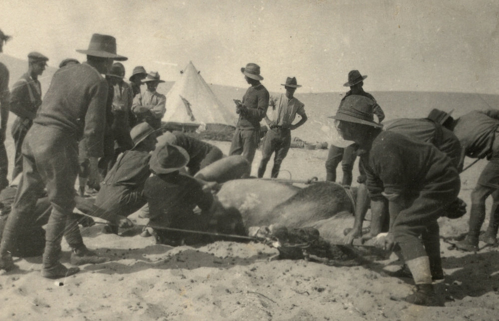 Photo from page 06 of album WWI Photograph Album- Egypt
