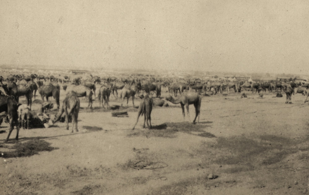 Photo from page 06 of album WWI Photograph Album- Egypt