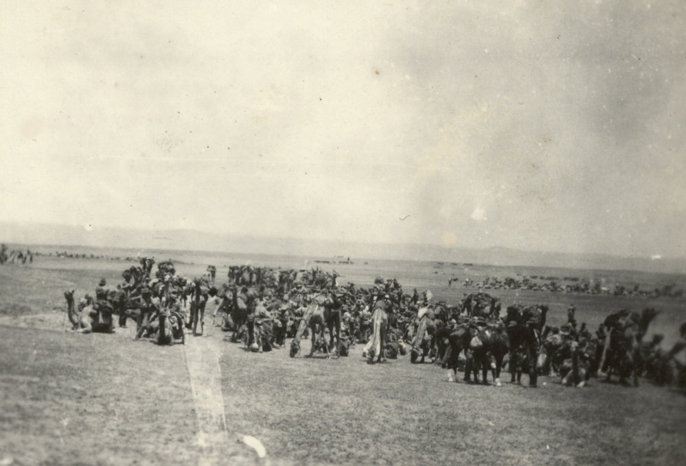 Photo from page 06 of album WWI Photograph Album- Egypt