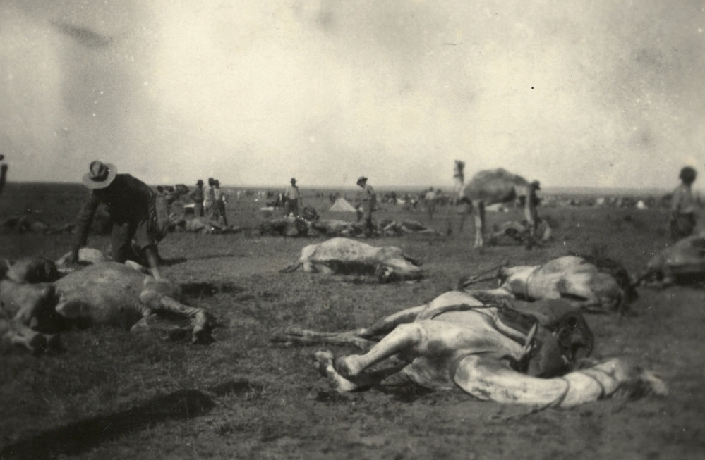 Photo from page 07 of album WWI Photograph Album- Egypt