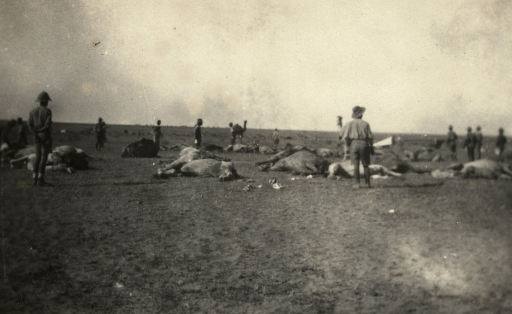 Photo from page 07 of album WWI Photograph Album- Egypt