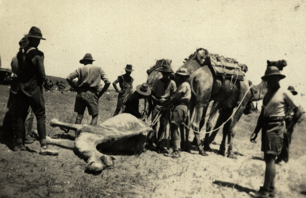 Photo from page 07 of album WWI Photograph Album- Egypt