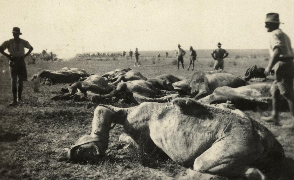 Photo from page 07 of album WWI Photograph Album- Egypt